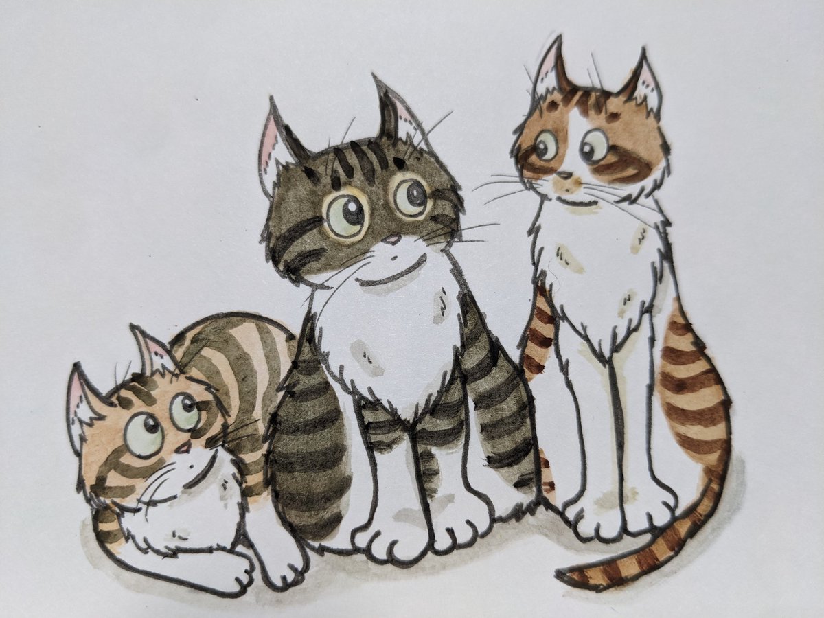 paseri021's tweet image. We have a discussion.
Why are we Tabby cats?
#Caturday 🐯
#pasericat