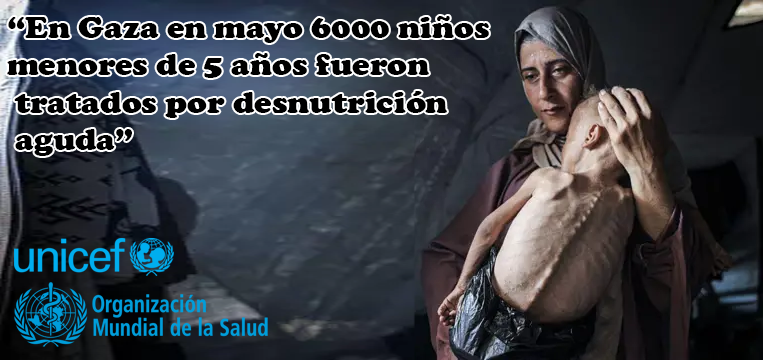 En Gaza en mayo 6000 niños menores de 5 años fueron tratados por desnutrición aguda. Más de 1000 por desnutrición aguda grave, una enfermedad mortal. Los hospitales no tienen leche en polvo para dar a los lactantes. La OMS y la Unicef están alarmados por la desnutrición infantil