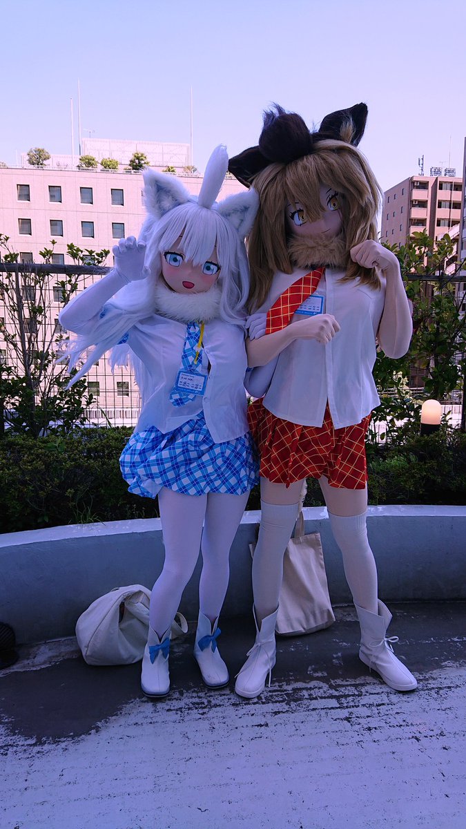#みけこん2025なつ 
#みけこん 

ホワイトライオンさんとライオンさん！
肉食獣らしいワイルドカワイイなポーズでした🦁

(🏷️:<a href="/hiko6356/">氷狐</a> 様)