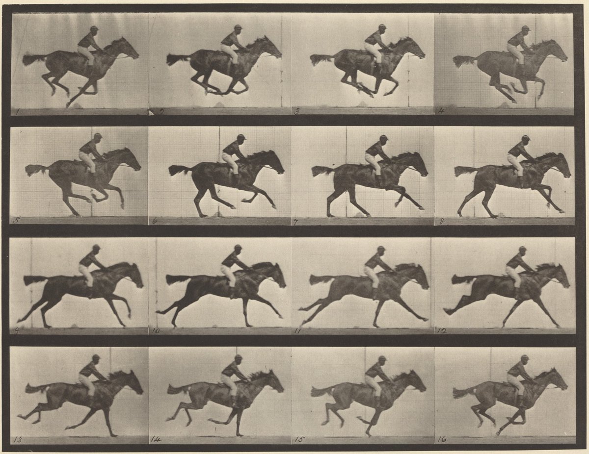 curious_ledger's tweet image. In 1878, Eadweard Muybridge settled a debate: Do all four of a horse’s hooves leave the ground during a gallop? Using a series of rapid-fire cameras, he captured the answer—yes. His work didn’t just prove a point; it paved the way for motion pictures.