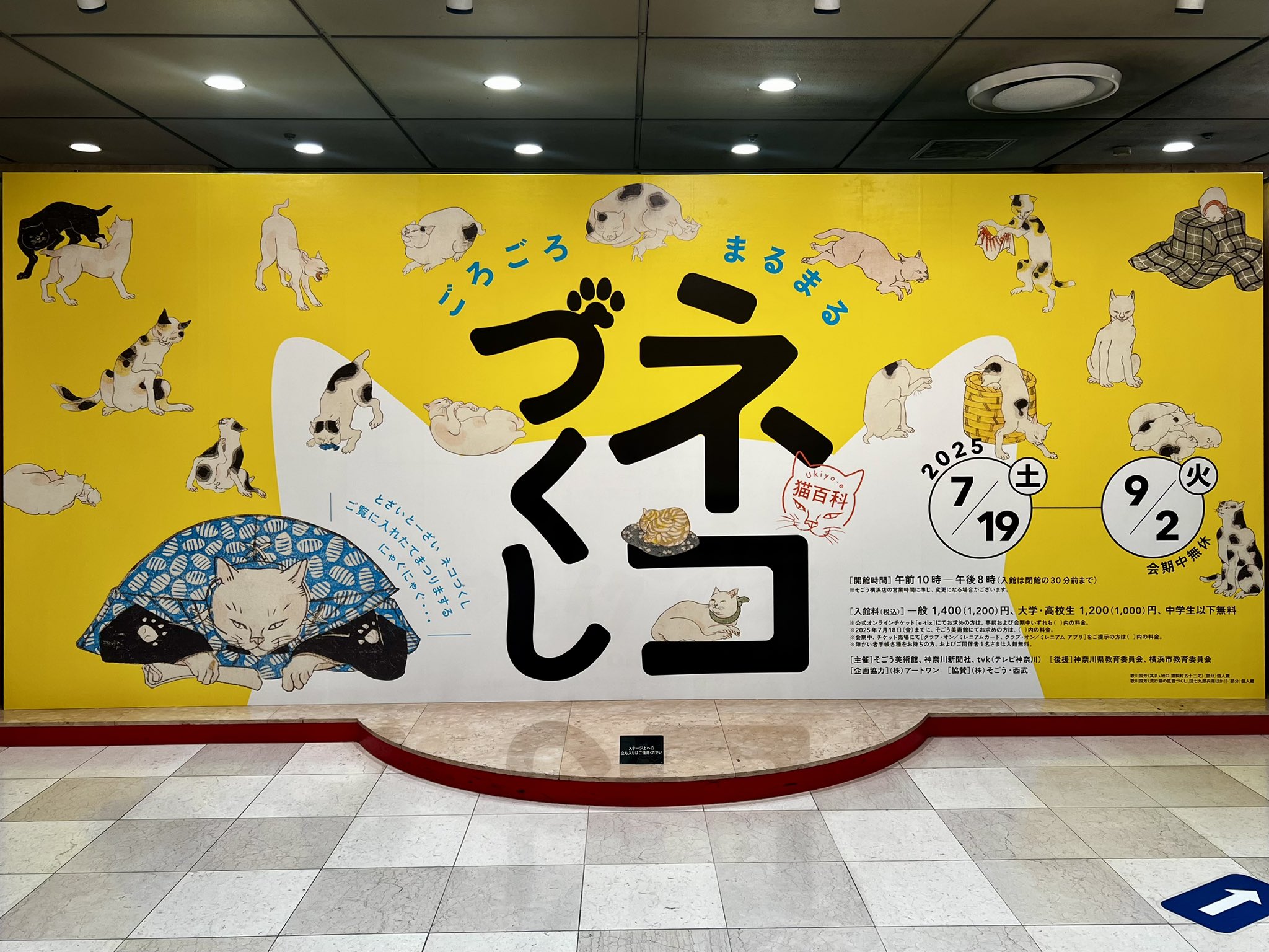 いせ辰　猫づくし Ukiyo-e猫百科 ごろごろまるまるネコづくし | ひろしま美術館