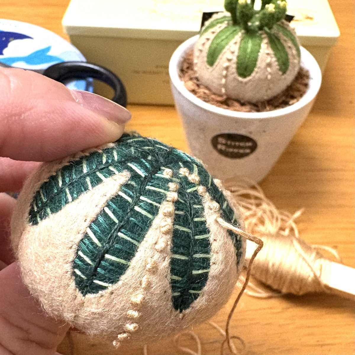 StitchripperD's tweet image. 🌵8月は 《文遊館の昆虫と植物展》 に出展させていただきます @bunyuukan
定番のミニ鉢丸サボテンとミニ鉢柱サボテンの他に、ビカクシダとウツボカズラをお送りさせていただく予定ですが……
木質化オベサも見ていただきたいなぁと欲張ってただ今追加で作っております