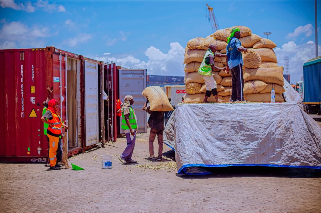RashdaZunde's tweet image. Wakulima wa korosho Mkoa wa Mtwara na Lindi waliingiza zaidi ya Shilingi bilioni 143 iliyotokana na mauzo ya tani 33,391,375 za korosho ghafi katika minada minne ya awali inayoendeshwa na Soko la Bidhaa Tanzania (TMX) katika msimu wa mauzo mwaka 2024/2025.
#OktobaTunatikiSamia