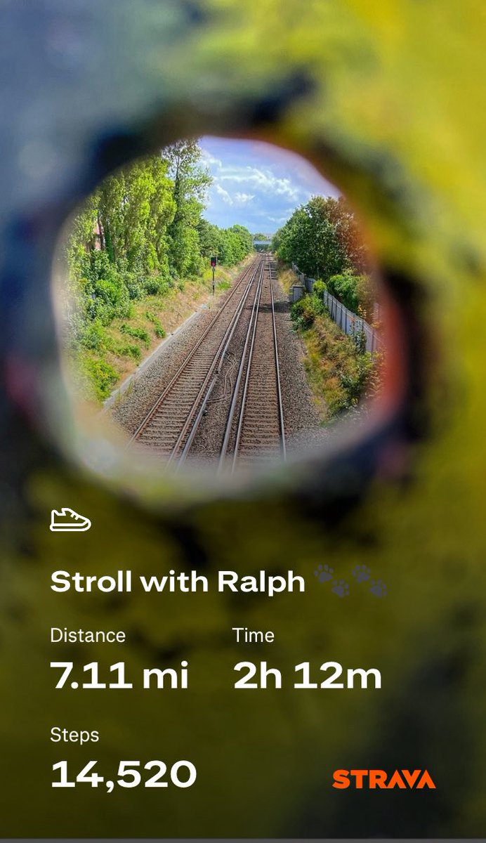 flyabout7's tweet image. A great day for a 7 mile beach stroll with Ralph. 🐾🐾

Our route took us across a  railway bridge which still bears damage that was inflicted by the Luftwaffe during WW2. 

#AdoptDontShop