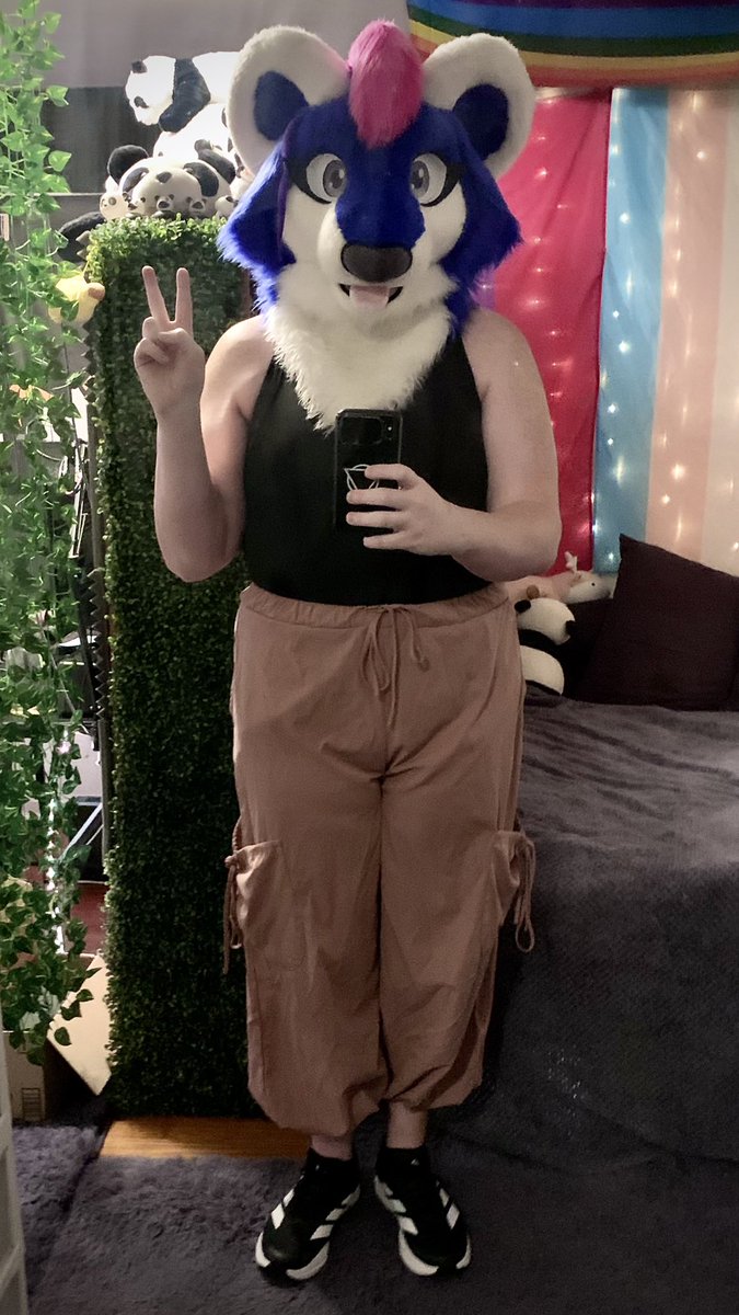 Blinkums's tweet image. Getting to celebrate another month milestone fursuiting today! See you all at Fizzy Fox today! 🫧🦊
✿
16-Months (and one day) on HRT 🏳️⚧️💜
