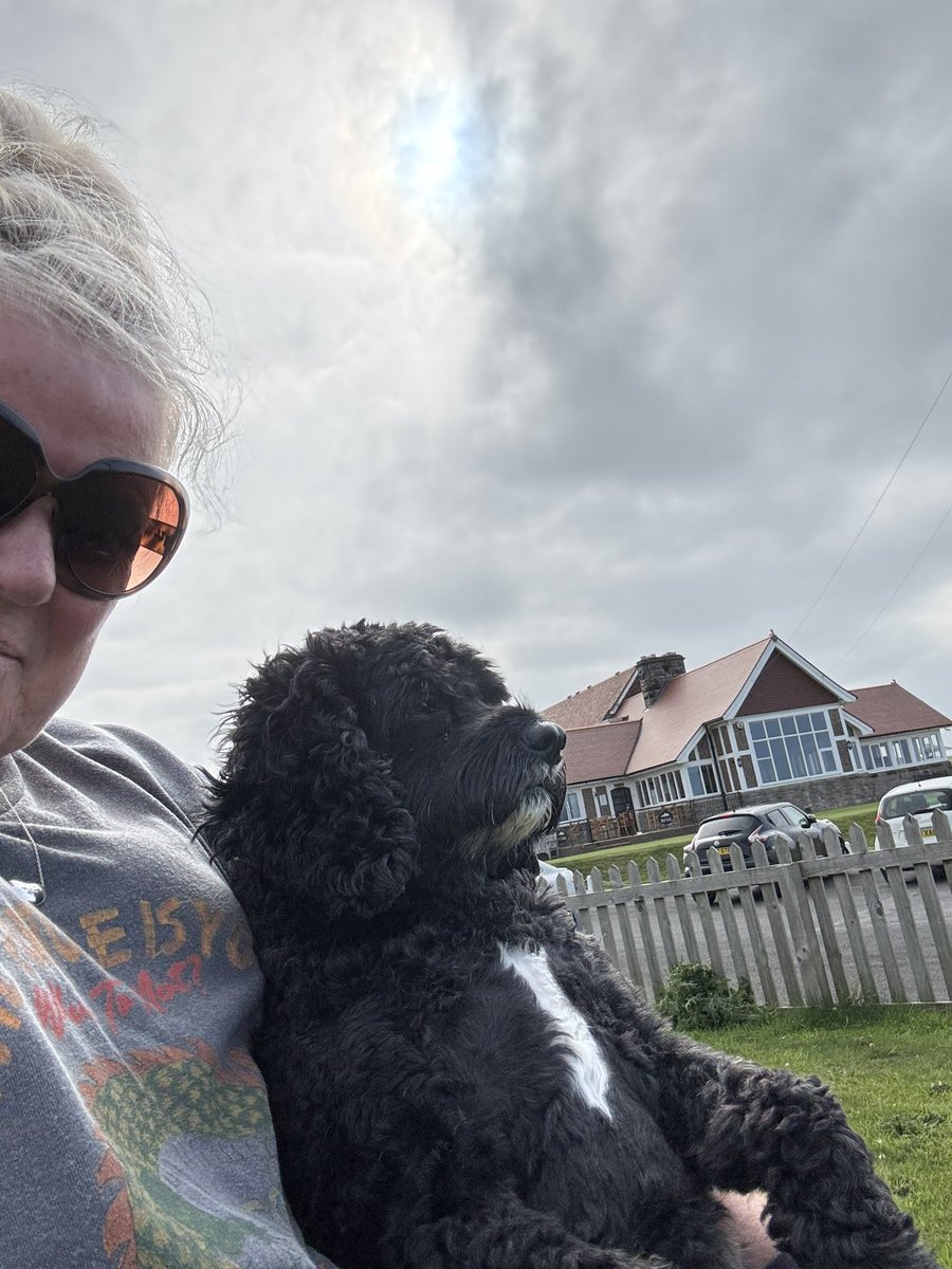 Vera_pooch's tweet image. Floors Castle - Kelso, Dolphin spotting  and Holy Island …. 
#Vera🐶
#DogsOnX
#TwinsiesOnTwitter 
#holidays