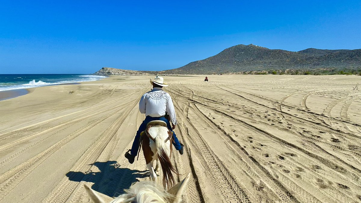 Good Morning Beautiful People! ☀️

I had a blast horseback riding on these beautiful beaches. Such a great way to reconnect with nature. 

Have a great Saturday everyone!
