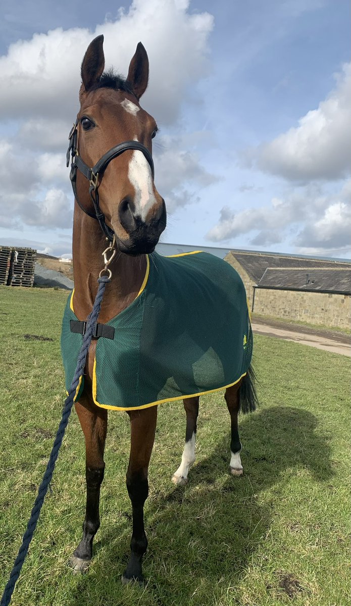 J Parkinson & S Smith Racing π (@jpandssracing) on Twitter photo We have two runners tomorrow at <a href="/ponteraces/">PontefractRacecourse</a>
Bazball 2:25 steps up in trip to 1m
Sayf al Dawla 3:25 makes his stable debut 1m2f
Both horses to be ridden by Tom Eaves β
Best of luck to all the team and connections π We have two runners tomorrow at <a href="/ponteraces/">PontefractRacecourse</a>
Bazball 2:25 steps up in trip to 1m
Sayf al Dawla 3:25 makes his stable debut 1m2f
Both horses to be ridden by Tom Eaves β
Best of luck to all the team and connections π