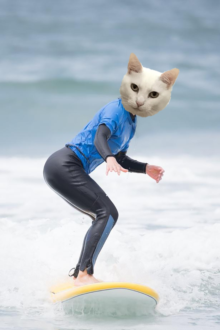 🌊😺Flo and Brigadier Sammy😺🌊 (@aurora3s) on Twitter photo #zzst <a href="/catsrule0/">Marie Choo Choo, married to Chalky</a> <a href="/MauSupercat/">House of Mau</a> <a href="/AviwhiteGSD/">Avilovesdogsandcats❤️</a>
<a href="/JennyNicholas4/">Jenny,Saffy,Tigger,Fizbo an Twerp da Canary</a> <a href="/GeneralBazz/">GENERAL BAZZ - GENERAL,LORD BIDDY(ANGEL)</a> <a href="/gensbazzbiddy/">GensBazz&Biddy</a> Sammy and Marie challenging each other who can stay up on skis the longest #zzst <a href="/catsrule0/">Marie Choo Choo, married to Chalky</a> <a href="/MauSupercat/">House of Mau</a> <a href="/AviwhiteGSD/">Avilovesdogsandcats❤️</a>
<a href="/JennyNicholas4/">Jenny,Saffy,Tigger,Fizbo an Twerp da Canary</a> <a href="/GeneralBazz/">GENERAL BAZZ - GENERAL,LORD BIDDY(ANGEL)</a> <a href="/gensbazzbiddy/">GensBazz&Biddy</a> Sammy and Marie challenging each other who can stay up on skis the longest