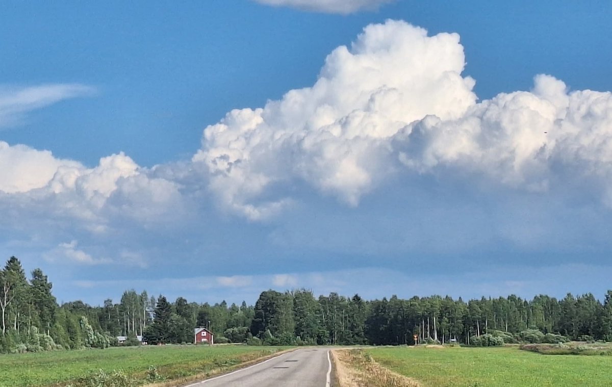 PHatunen's tweet image. Hyvää lauantai-iltaa ja viikonloppua. Have a fine weekend. 
Kuva 26.7.2025 Vaala Nuojua.😊