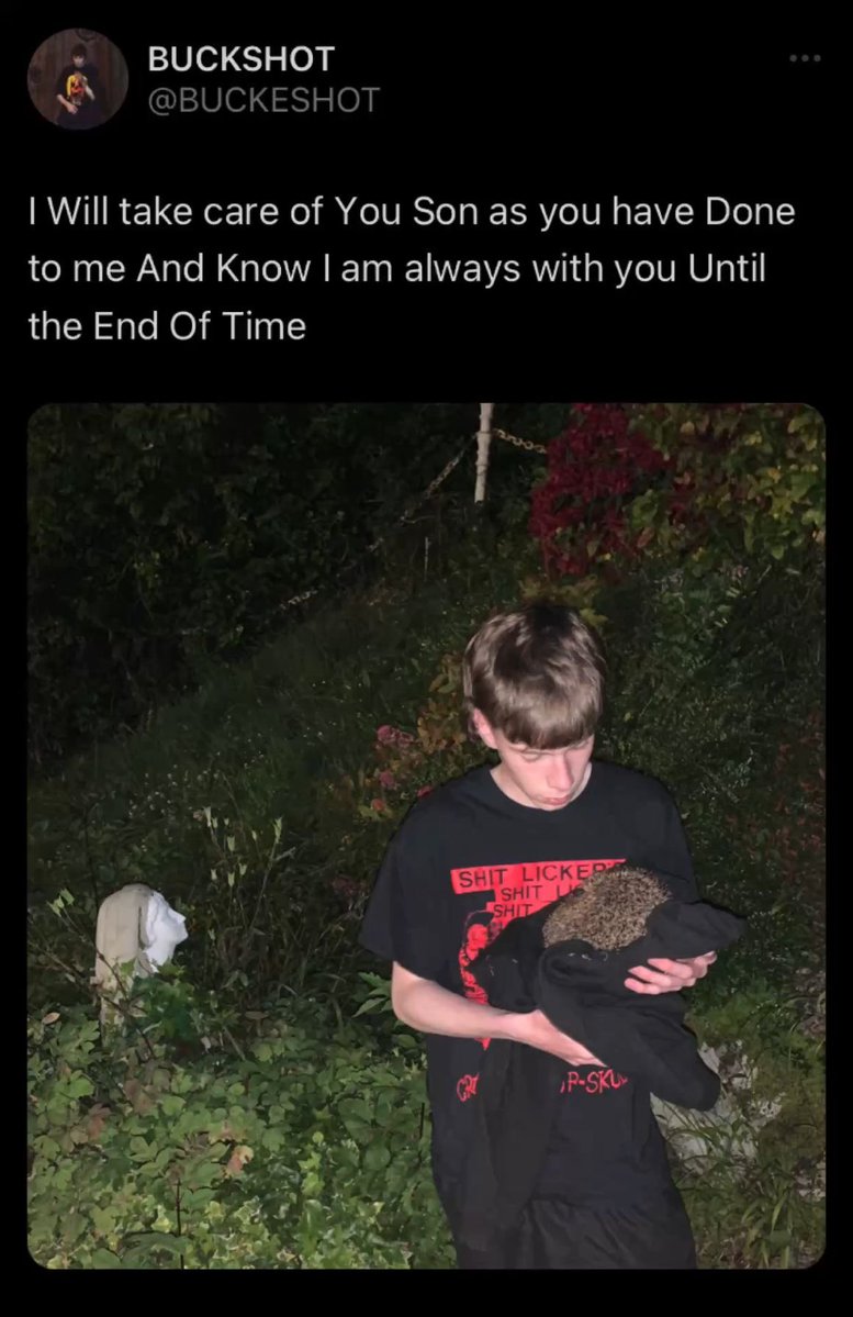 hauntingmound's tweet image. 