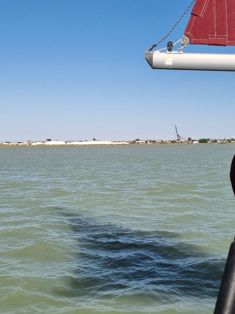 Hoy hemos subido un poquito el #Guadalquivir para enseñar a la tripulación el Barco del Arroz, las salinas de Sanlucar y la orilla de Doñana. Soplan 12 kn de W en el rio y como hemos aprovechado la corriente subimos a 8 nudos. Esto es una delicia. Ahora, en el Atlántico, baño.