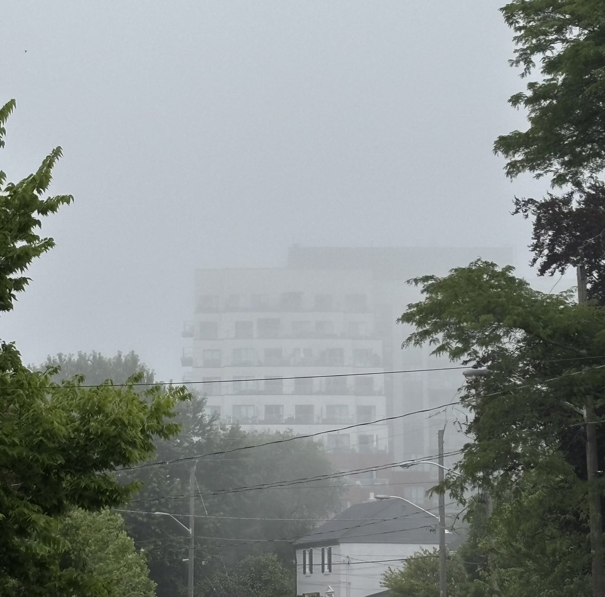 ChrisBlackadder's tweet image. Good Morning World! ⛅️ 🧟‍♂️ 

It be looking like a zombie apocalypse in Toronto.

Wish me luck lol