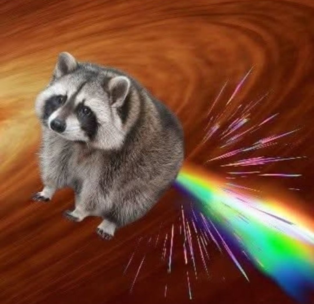 ShouldHaveRacc's tweet image. Peeeeeeeeeeewwww