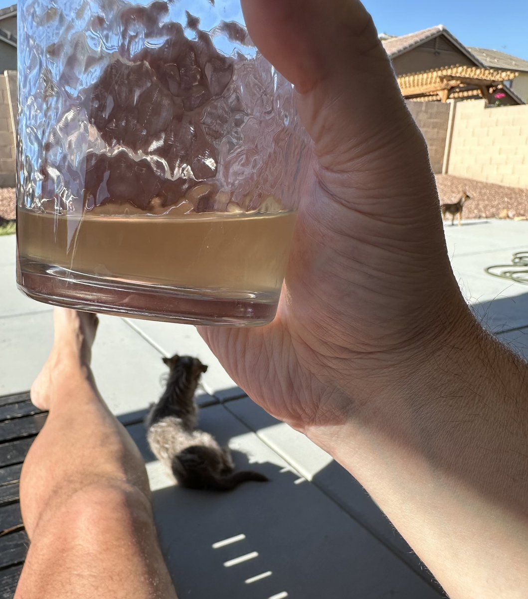 ArizonaHeatwave's tweet image. Donโt forget to drink your ACV (apple cider vinegar) today kids!!๐๐๐ผ๐๐ผ๐๐ป๐ฏ๐ฏ๐ช๐ป๐ช๐ป