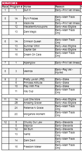 SARATOGA
RETIRADOS HOY SÁBADO