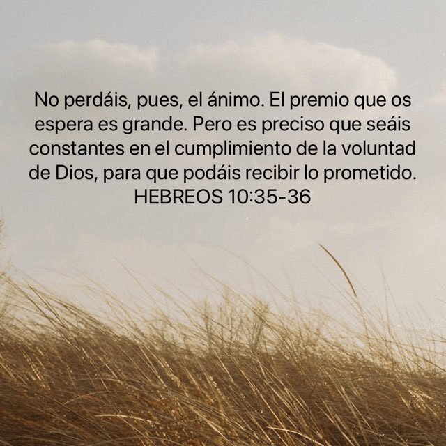 tremenduz's tweet image. Buenas Tardes!