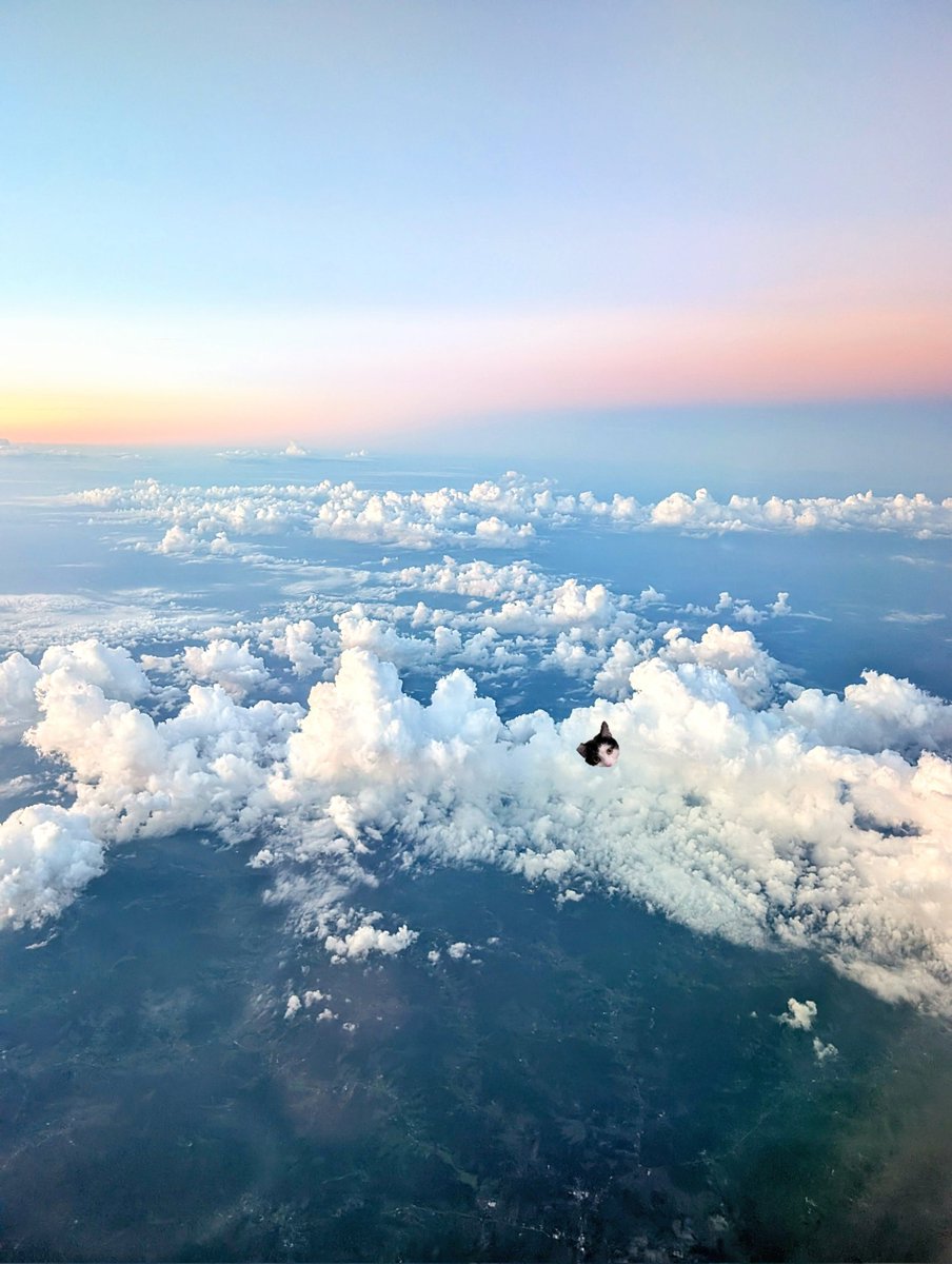 You look ourt the window and see this wyd