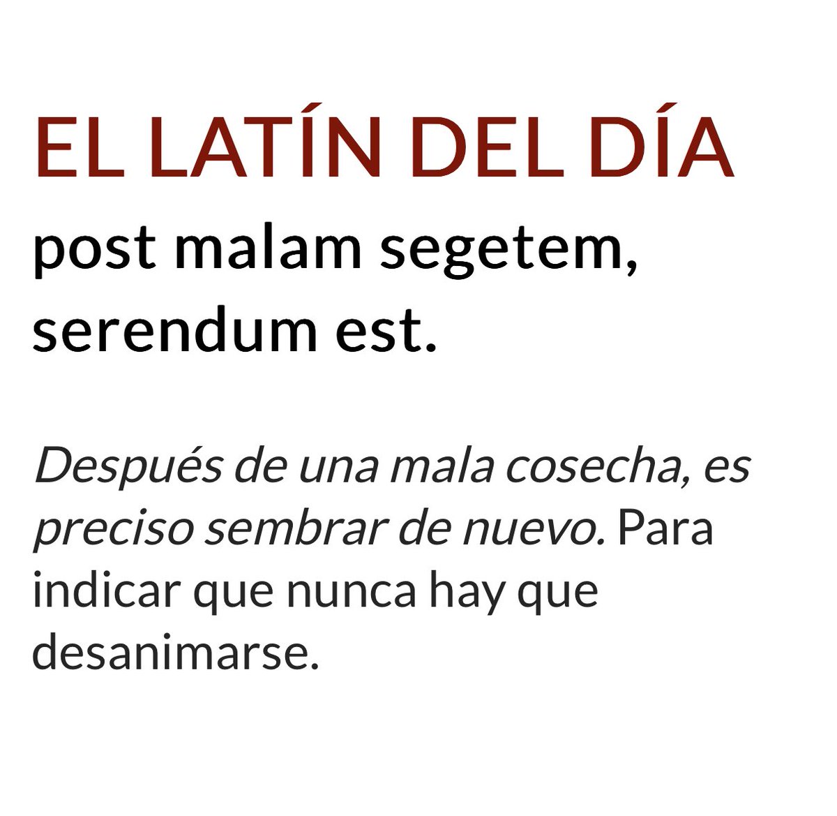 Michel Macari (@michmacari) on Twitter photo 