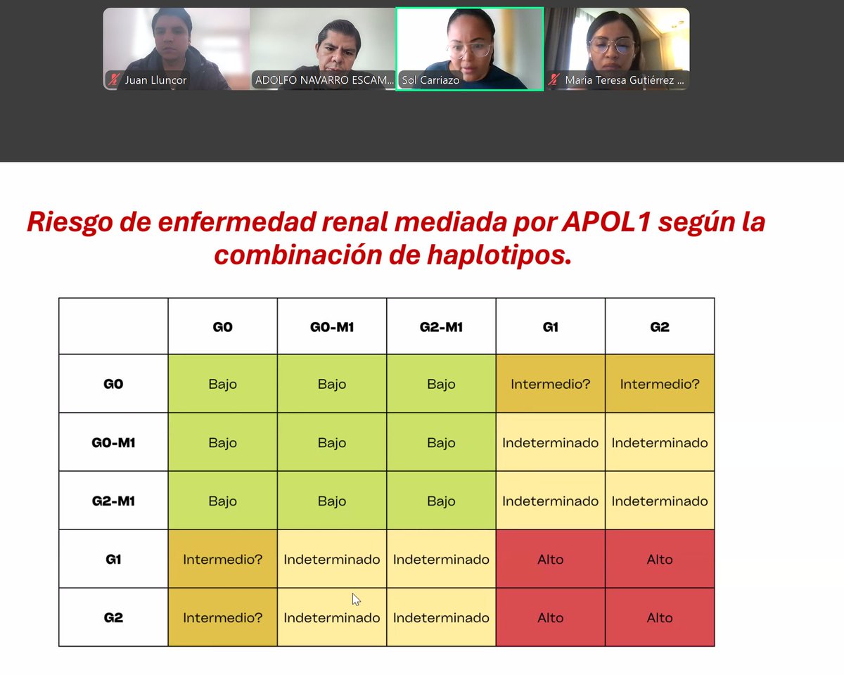 Juan Lluncor (@lluncornefro) on Twitter photo Sesión de <a href="/GlomConILA/">GlomCon Ibero-LatinoAmérica</a>: Genética y ERC
Brillante disertación por la dra <a href="/torra_roser/">Roser Torra</a> y genial workshop a cargo de <a href="/Nefrontera/">Sol Carriazo, Neph.</a>
✔️Alport / ERPQ / Apol-1
✔️ Algoritmo Dx de ERCx Sesión de <a href="/GlomConILA/">GlomCon Ibero-LatinoAmérica</a>: Genética y ERC
Brillante disertación por la dra <a href="/torra_roser/">Roser Torra</a> y genial workshop a cargo de <a href="/Nefrontera/">Sol Carriazo, Neph.</a>
✔️Alport / ERPQ / Apol-1
✔️ Algoritmo Dx de ERCx