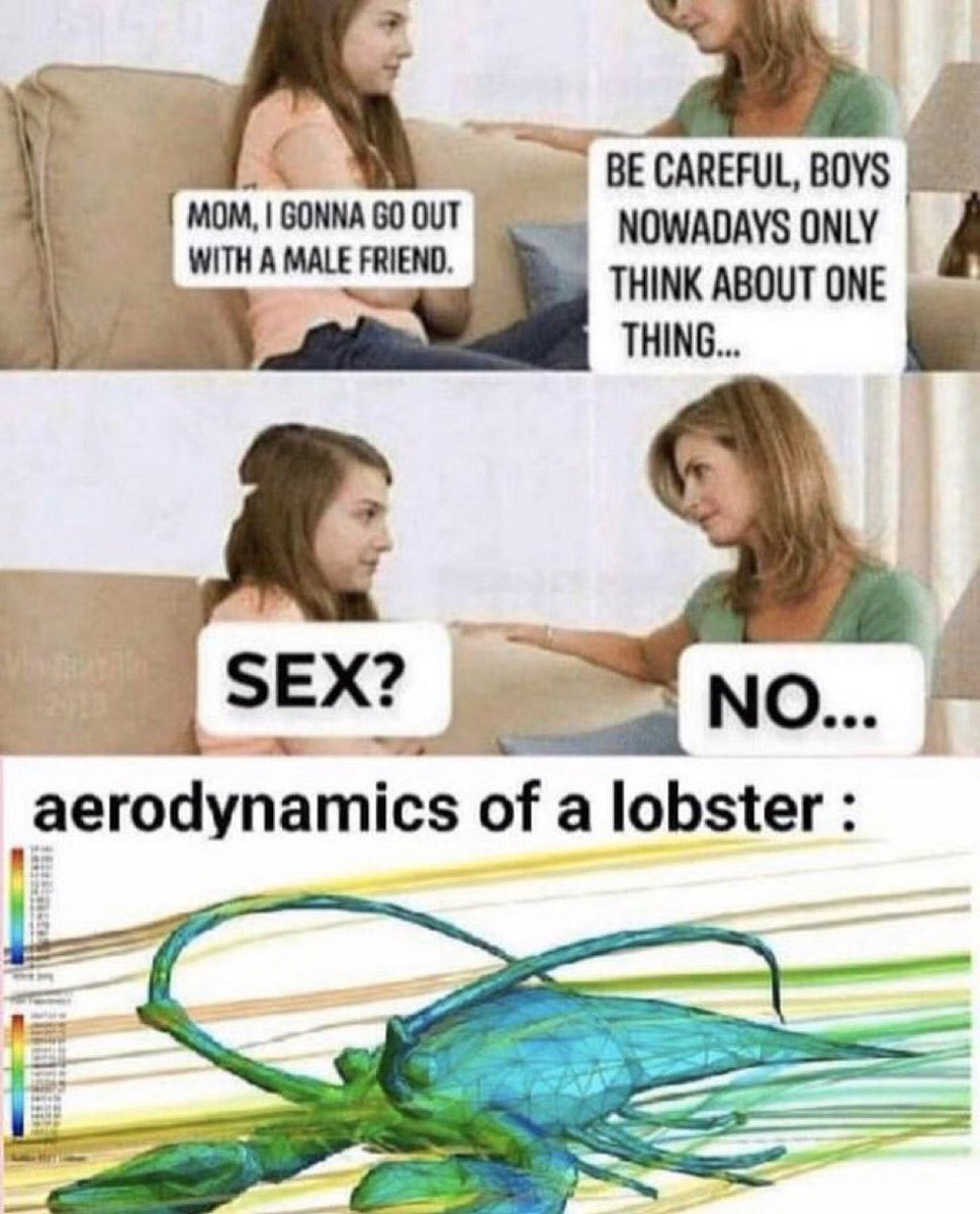 miniapeur's tweet image. True