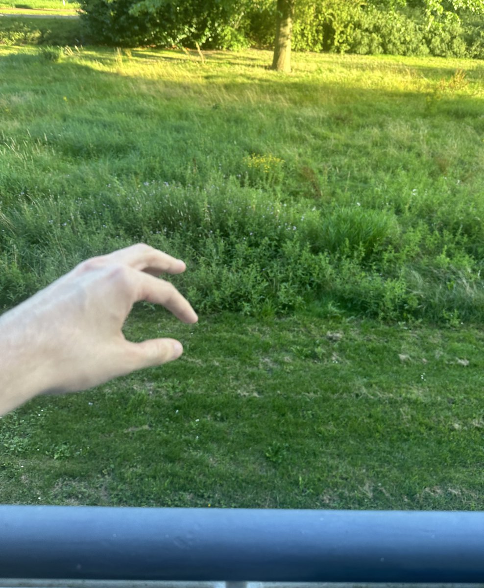 ashleybits's tweet image. HEARTWARMING ❤️ Control Player Opens Window for the First Time in 5 Years, Stunned by the Grass
"This shit looks like the CMA #296 Island"
