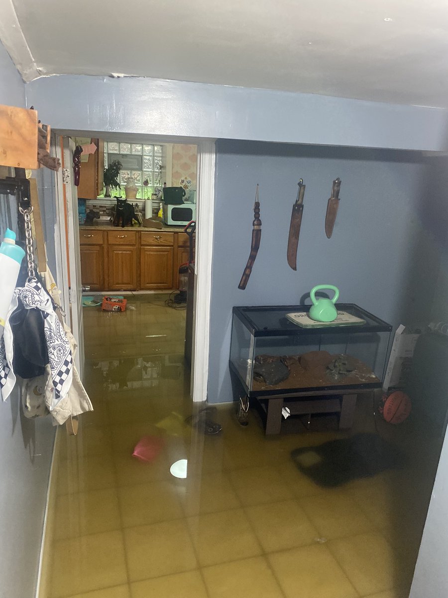 meloticart's tweet image. Thanks to everyone who reached out. Luckily we only lost electronics, clothes, shoes, 2 garbage bags of yarn and the cats lost their beds and trees. will never move to a place that is actually flood prone, that was scary and disgusting.
If you want to help cashapp: meloticart