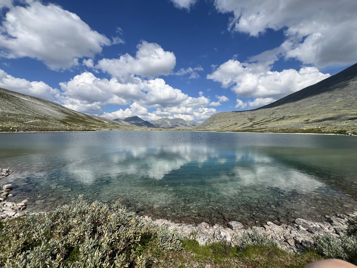 alt som ikke kan målast 
i pengar 💚

#styrkepoesi #lyrikklørdag
#SolveigGrønstøl ✨