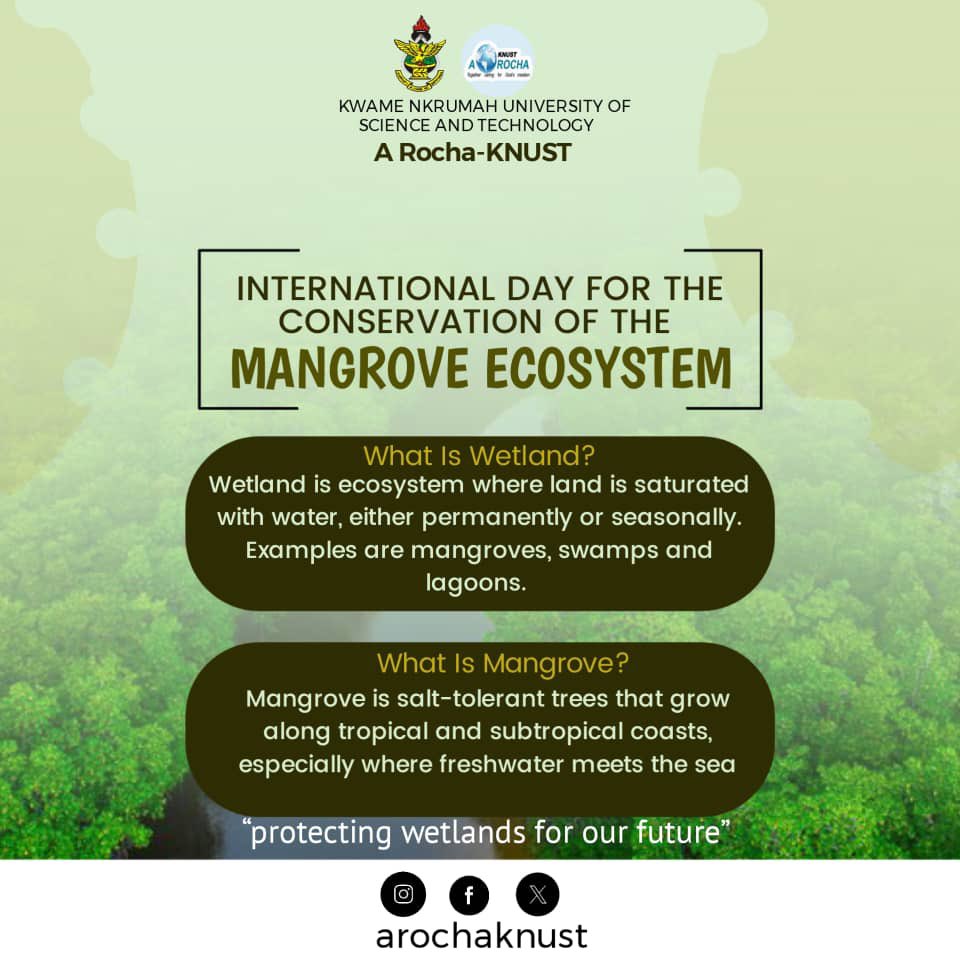 arochaknust's tweet photo. Today is International Day for the Conservation of the Mangrove Ecosystem!
Mangroves are nature’s guardians — shielding coasts, nurturing marine life, and storing up to 4x more carbon than tropical forests! 🌊🌿
Let’s protect these climate heroes before they disappear. https://t.co/AoHhGWX927