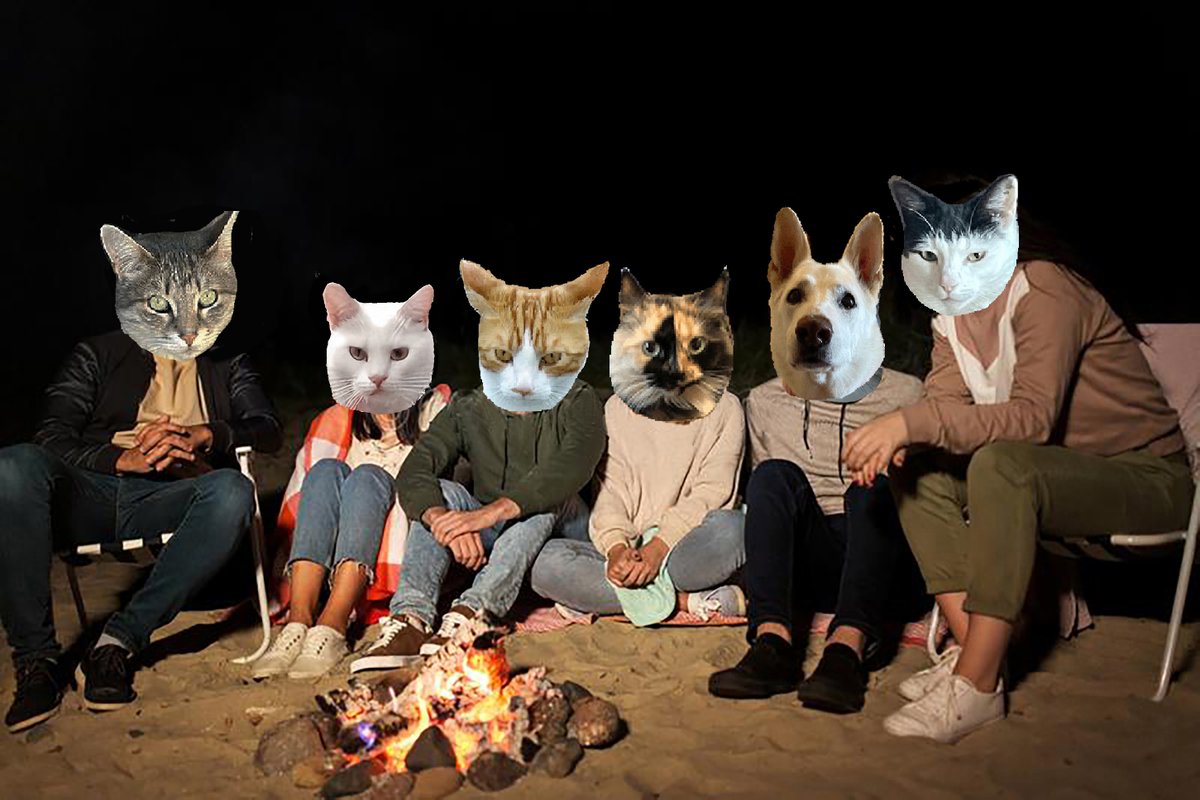 🌊😺Flo and Brigadier Sammy😺🌊 (@aurora3s) on Twitter photo #zzst
<a href="/catsrule0/">Marie Choo Choo, married to Chalky</a>
<a href="/MauSupercat/">House of Mau</a>
<a href="/AviwhiteGSD/">Avilovesdogsandcats❤️</a>
<a href="/JennyNicholas4/">Jenny,Saffy,Tigger,Fizbo an Twerp da Canary</a>
<a href="/GeneralBazz/">GENERAL BAZZ - GENERAL,LORD BIDDY(ANGEL)</a>
<a href="/gensbazzbiddy/">GensBazz&Biddy</a> Lets toast some marshmellows and some hot dogs. It's been a great day..Then we mosey over to see what food is in the food tent today. #zzst
<a href="/catsrule0/">Marie Choo Choo, married to Chalky</a>
<a href="/MauSupercat/">House of Mau</a>
<a href="/AviwhiteGSD/">Avilovesdogsandcats❤️</a>
<a href="/JennyNicholas4/">Jenny,Saffy,Tigger,Fizbo an Twerp da Canary</a>
<a href="/GeneralBazz/">GENERAL BAZZ - GENERAL,LORD BIDDY(ANGEL)</a>
<a href="/gensbazzbiddy/">GensBazz&Biddy</a> Lets toast some marshmellows and some hot dogs. It's been a great day..Then we mosey over to see what food is in the food tent today.