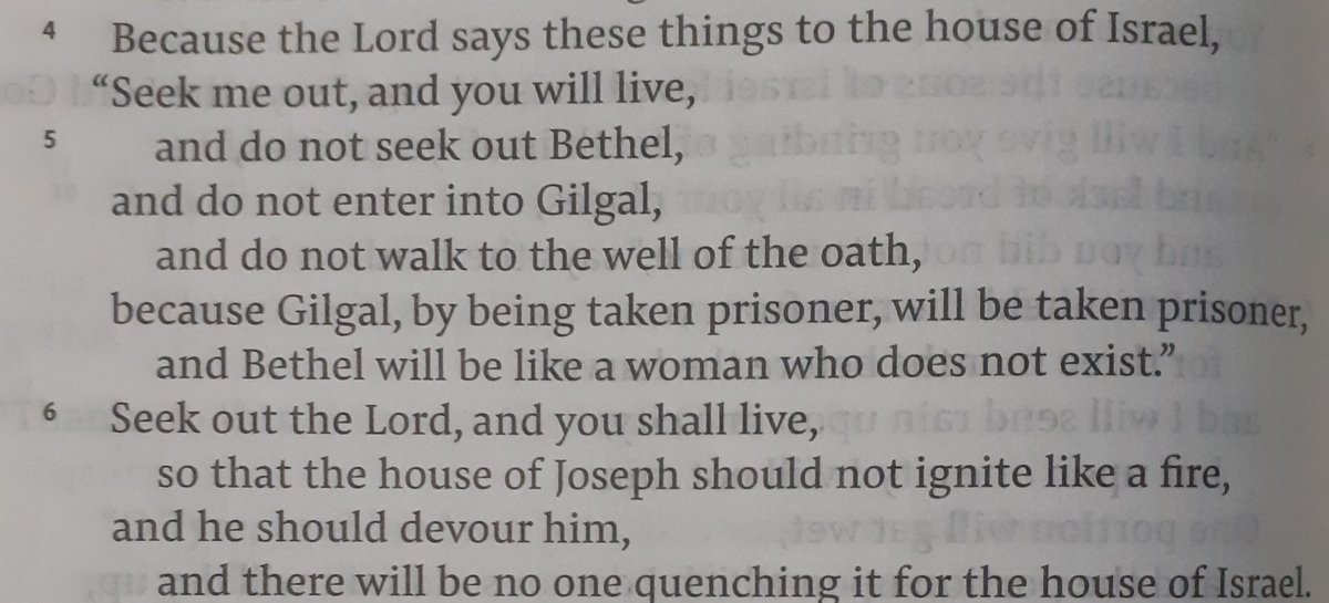 "Seek the Lord, and you shall live." (Amos 5)
Today, we also deserve judgement. Our Churches are compromised. But the Lord will always provide a way out. Let us seek him together.