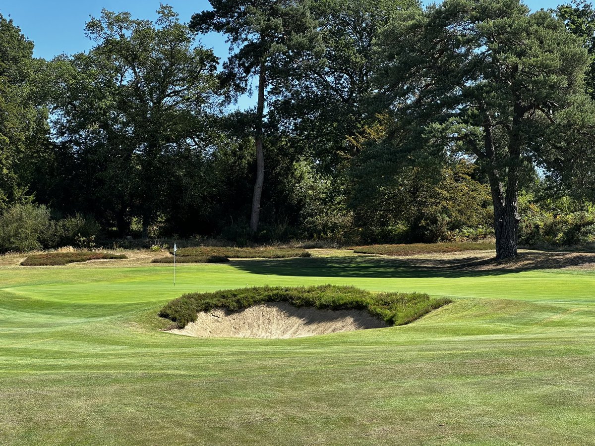 eslergolf's tweet photo. Is #3 at Woking the OG of Lion’s Mouths?
Not exactly the accentuated Raynor type with both “Green Tusks” framing the Front Center Bunker, but very close. 
Facts welcomed, opinions also appreciated!! 
@WokingGolf 
@GolfClubAtlas https://t.co/R8RKJYgxrc