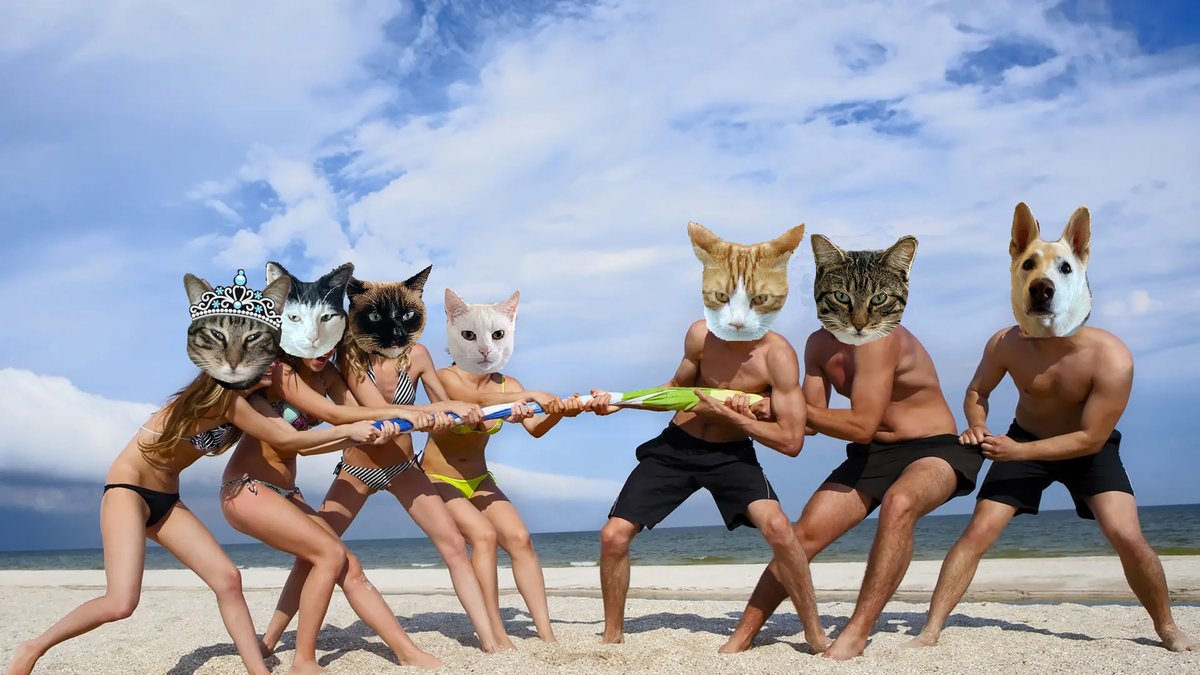 🌊😺Flo and Brigadier Sammy😺🌊 (@aurora3s) on Twitter photo #zzst <a href="/catsrule0/">Marie Choo Choo, married to Chalky</a> <a href="/MauSupercat/">House of Mau</a> <a href="/AviwhiteGSD/">Avilovesdogsandcats❤️</a>
<a href="/JennyNicholas4/">Jenny,Saffy,Tigger,Fizbo an Twerp da Canary</a> <a href="/GeneralBazz/">GENERAL BAZZ - GENERAL,LORD BIDDY(ANGEL)</a> <a href="/gensbazzbiddy/">GensBazz&Biddy</a> Last challenge. Tug of war Girls vs. Boys. Who gonna win?? #zzst <a href="/catsrule0/">Marie Choo Choo, married to Chalky</a> <a href="/MauSupercat/">House of Mau</a> <a href="/AviwhiteGSD/">Avilovesdogsandcats❤️</a>
<a href="/JennyNicholas4/">Jenny,Saffy,Tigger,Fizbo an Twerp da Canary</a> <a href="/GeneralBazz/">GENERAL BAZZ - GENERAL,LORD BIDDY(ANGEL)</a> <a href="/gensbazzbiddy/">GensBazz&Biddy</a> Last challenge. Tug of war Girls vs. Boys. Who gonna win??