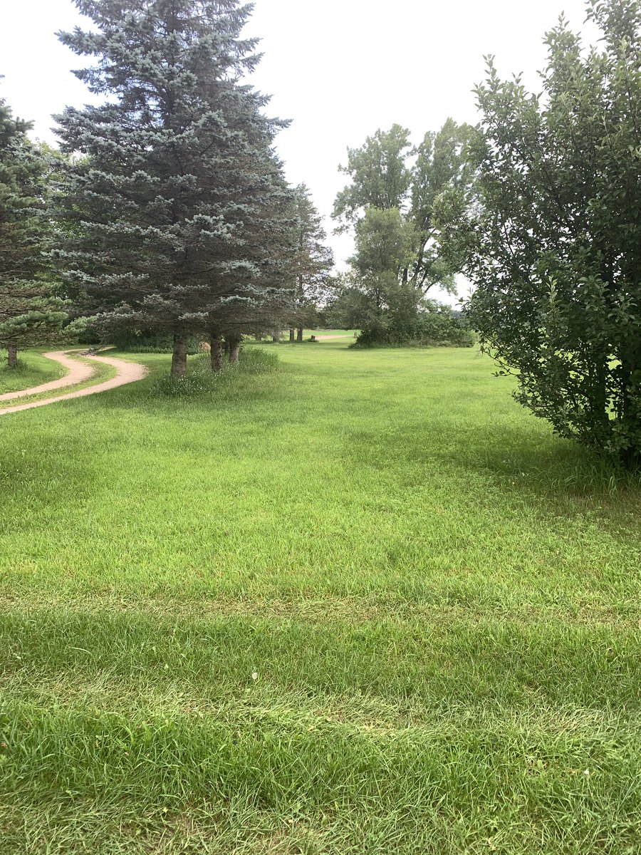 2AEnjoyer's tweet image. Time to do the front yard