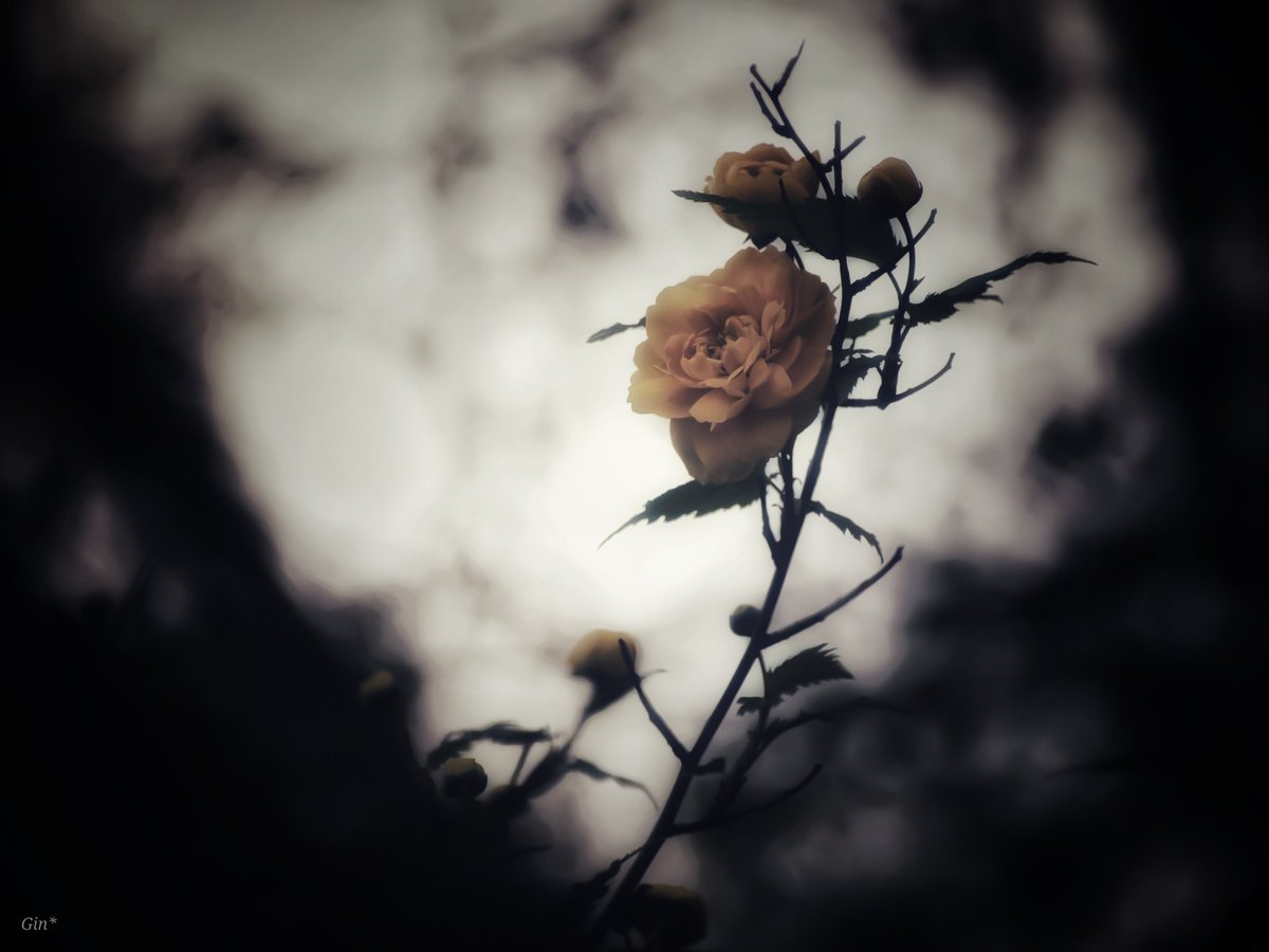 Yuma_r_g's tweet image. 