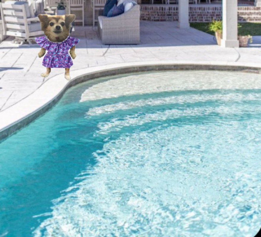 Rear Admirals Angels Pogue & Harry RIP frens OTRB (@harrynpogue) on Twitter photo <a href="/all_fur_matters/">Fruma-Ruth</a> <a href="/Helen09Porter/">Finlay the Westie & his Mom</a> <a href="/BeanPaisley/">Granna and Paisley Bean 🇺🇸</a> It a kinda bikininini dress fing #zzst <a href="/all_fur_matters/">Fruma-Ruth</a> <a href="/Helen09Porter/">Finlay the Westie & his Mom</a> <a href="/BeanPaisley/">Granna and Paisley Bean 🇺🇸</a> It a kinda bikininini dress fing #zzst