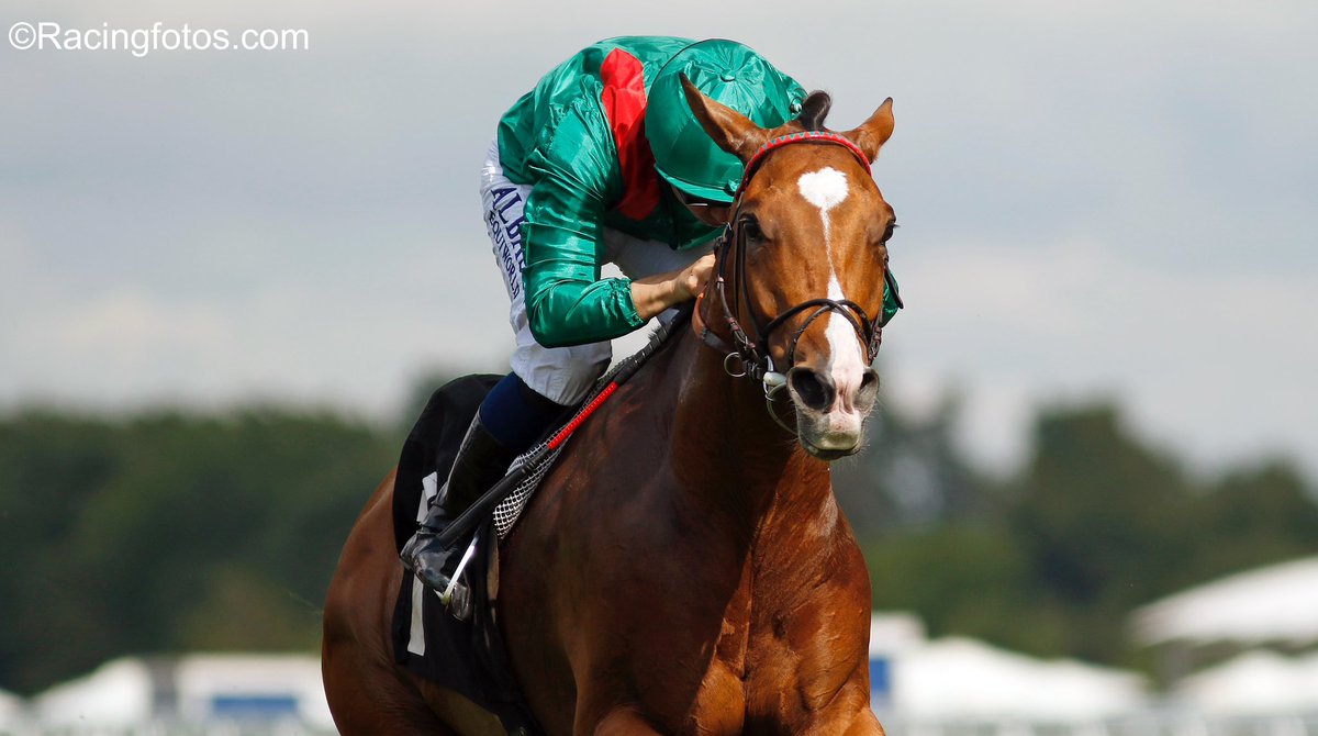 Congratulations to Calandagan for winning the King George VI and Queen Elizabeth Stakes (G1).