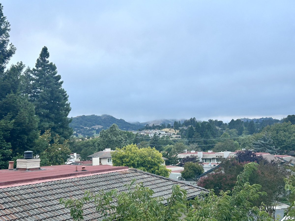 whatkenatetoday's tweet image. Gloomiest July ever.