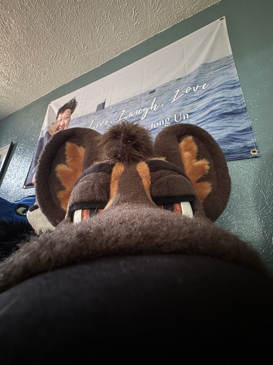 Happy Saturday animals in my phone 

If you’re having a bad start to your weekend, look into my ears and remember -

Live like today’s your last day
Laugh your heart out
Love without reason

You deserve happiness.
You deserve love.

You are special ❤️🐕

- Like the Water