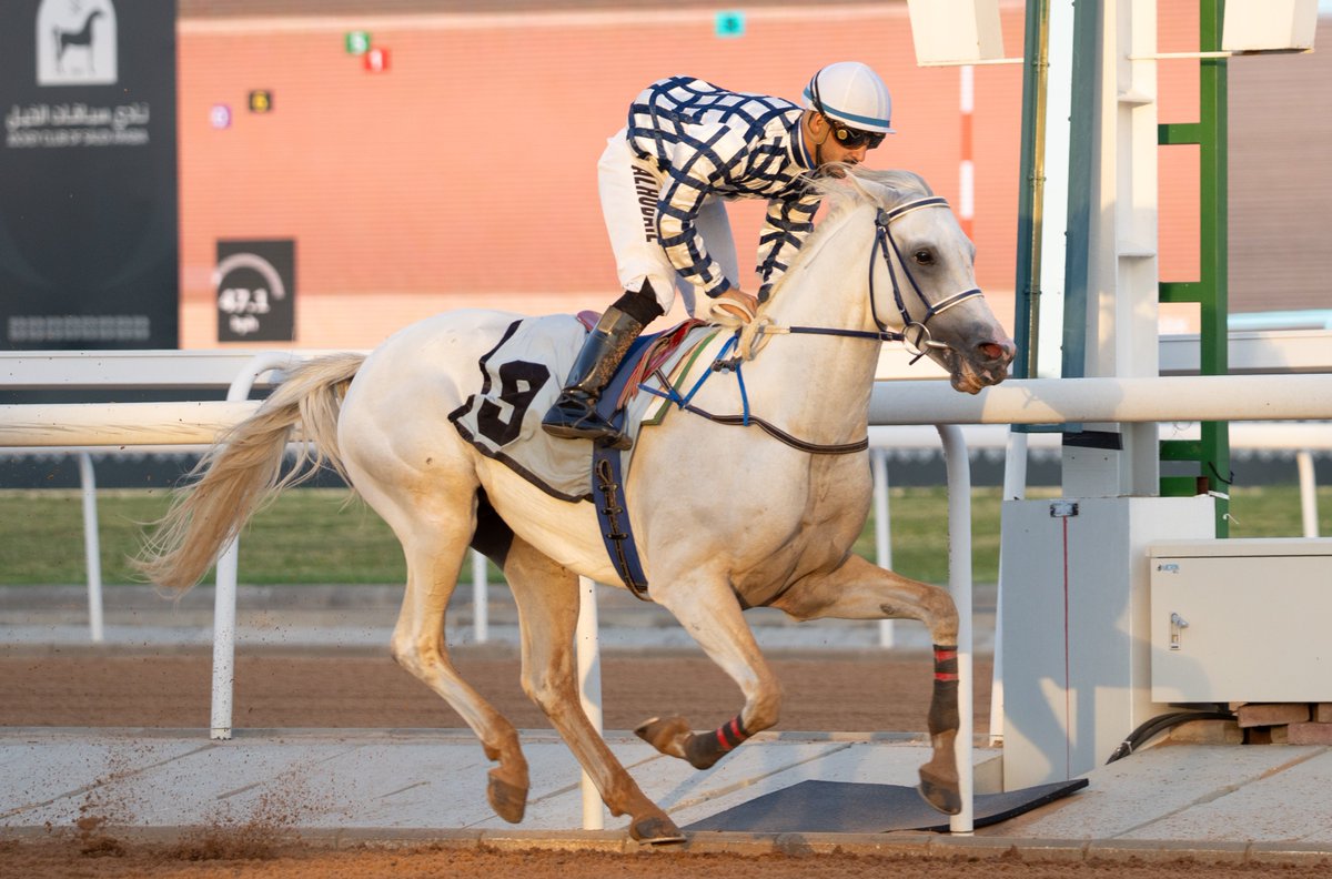 JCSA_Racing's tweet image. All smiles from the team behind WARED AL SENGAR after a big win in Race 7. Congratulations to jockey Mohammad Alhubail, owner Thuar Jedae Alanazi & trainer Mustafa Almosa. #TaifSeason #SaudiRacing