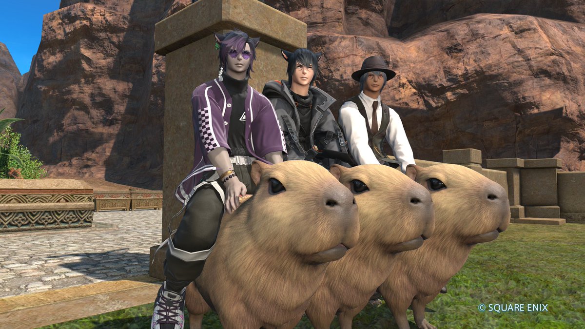 phrontomiqo's tweet image. Catboy Capybara Cavalry