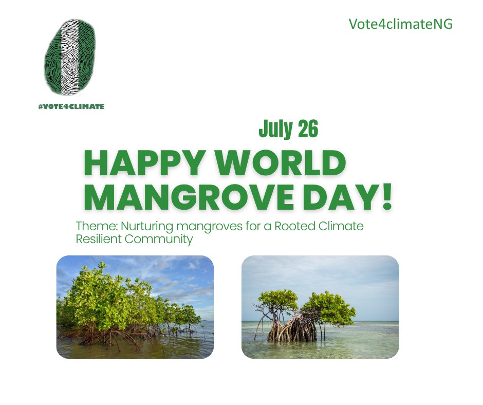 World mangroves Day!
Mangroves serves as natural barriers against storm surges, flooding and coastal erosion.
Let us work together to protect and restore our mangrove forest for a more resilient  and a sustainable future.
#vote4climate #vote4climateNG #worldmangroveday2025