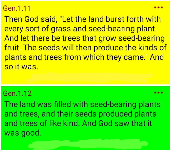 Adasu_d_gr8's tweet image. God gave us SEED—BEARING PLANTS
And God saw that it was good.
But some doctors said it is not good, that it's Bill Gate's seed which cannot be replanted that is good.
Doctors wiser than God!