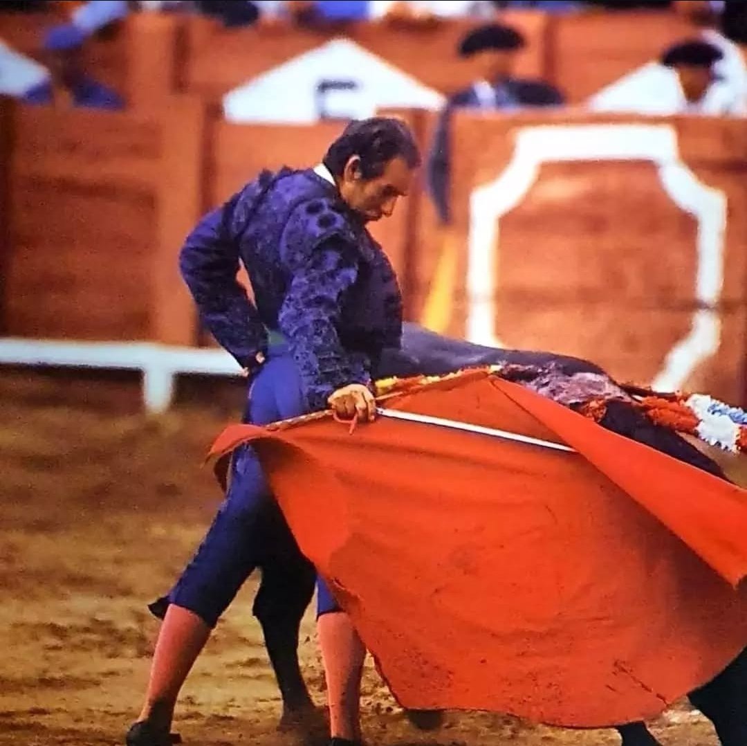 Alamares_largos's tweet image. Genialidades.