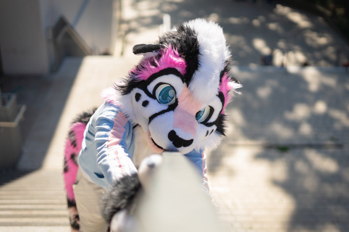 is this the <a href="/Melon_mow/">Soju cat ☠️ @Megaplex</a> pose?