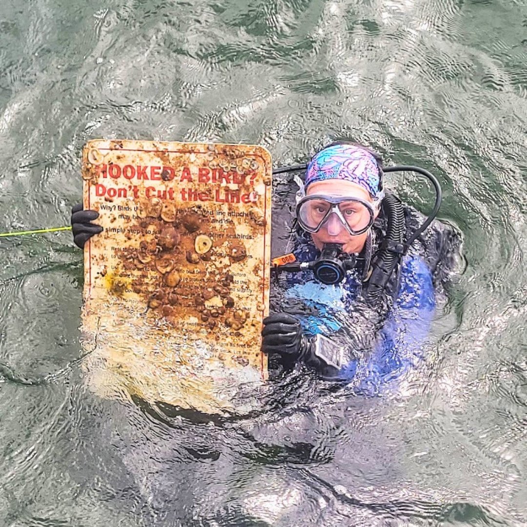 StPetePier's tweet image. Proud to partner with @floridaaquarium on a clean-up dive at the #StPetePier on June 28, with a successful removal of 475 pounds of trash.

Thank you to The Florida Aquarium for helping to #KeepOurPlanetBlue 🌎🌊