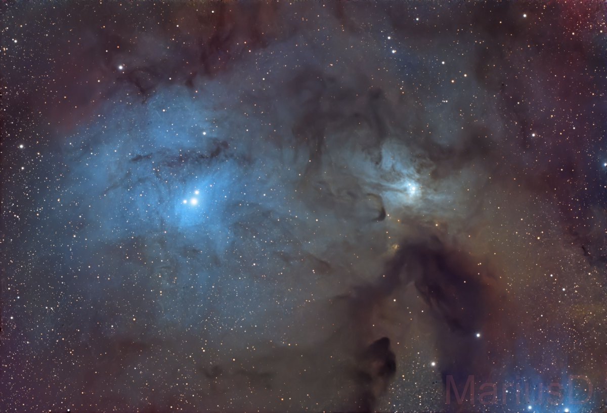 AstroBin_com's tweet image. Image of IC 4603 & IC 4604, shared on AstroBin by Marius, who used a telescope from AstroBin sponsor @TeleskopService: TS-Optics Photoline 80mm f/6 (TLAPO804)
More: astrobin.info/ts-optics
Image: astrobin.com/c4wrll
Total integration: 4h 55′
Thanks for looking!
S.