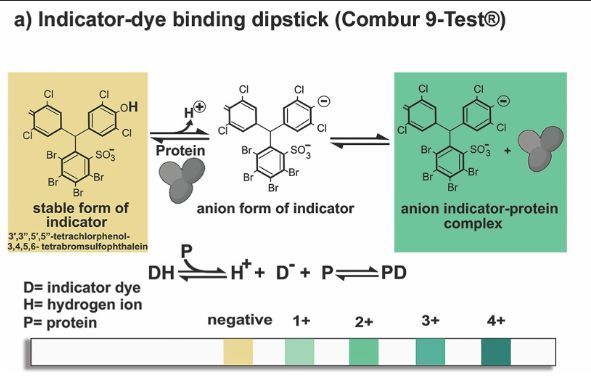 AJKDonline's tweet image. NEW on the #AJKDBlog: 

@Maximal_Change interviews @NephRodby and @TWhittier_RUSH about a recent AJKD Review focusing on measurements of proteinuria.

bit.ly/4oax9Zh (FREE)