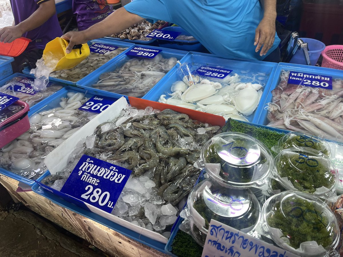 v4iwhm's tweet photo. fresh fish market https://t.co/xomzPiq908