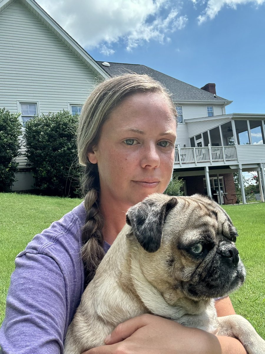 ashleyschendelx's tweet image. I took the dogs to play fetch in our backyard but Maxsy isn’t much of a ball chaser. He’d rather just sit in his Mama’s lap. 

Bluey is still learning to fetch and bring the ball back without getting distracted by every single thing in our backyard. 

Do your dogs have weird…